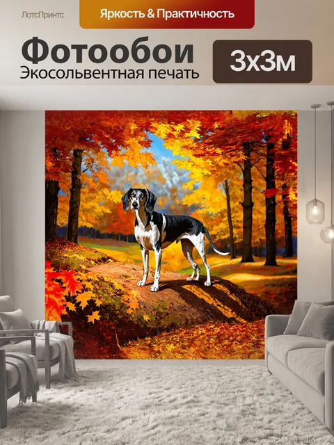 Фотообои собака, гибрид салюки, стоит на холме, окруженная осенними листьями, окрашенными в различные оттенки желтого…