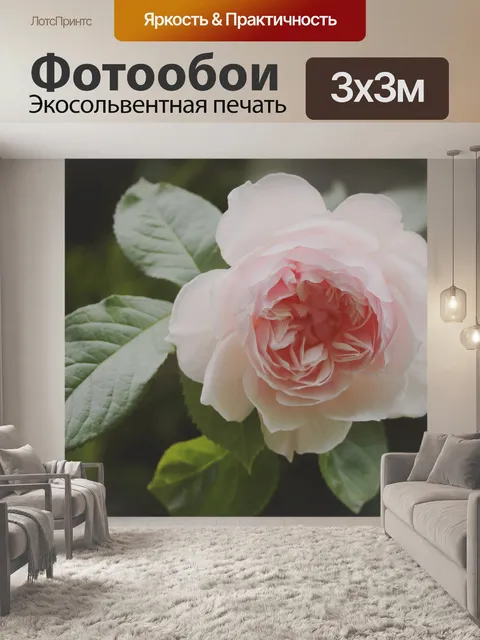 Фотообои Макрос розового розового цветка