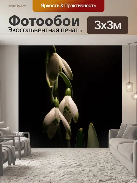 Фотообои Подснежник
