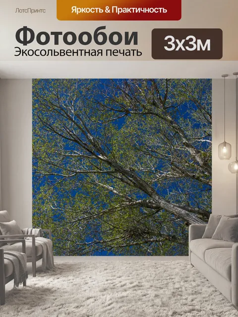 Фотообои голубое небо на вершине дерева