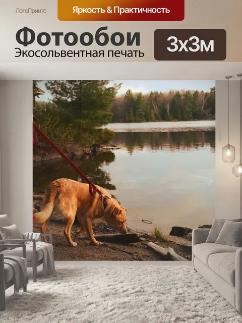 Фотообои Собака видом на пляж