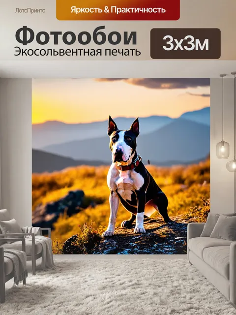 Фотообои бультерьер, позирующий на фоне горного пейзажа, закат