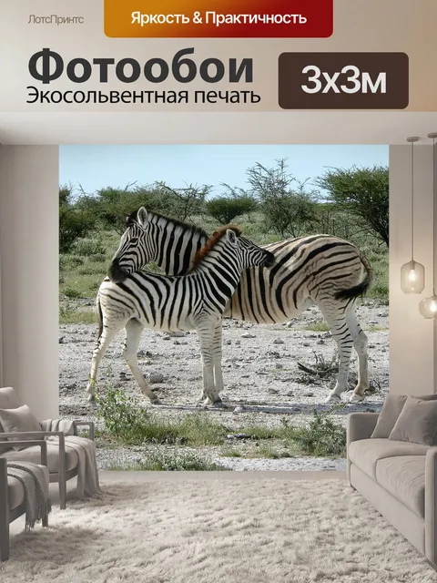 Фотообои Зебра