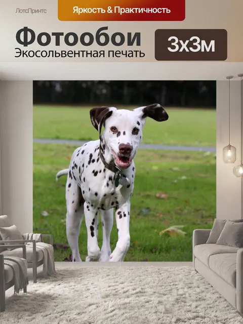 Фотообои Пес, бегущий щенок далматина