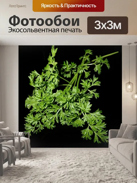 Фотообои Кервель ажурный