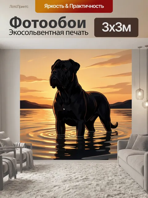 Фотообои Черный кане-корсо на закате