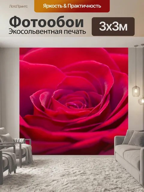 Фотообои Роза