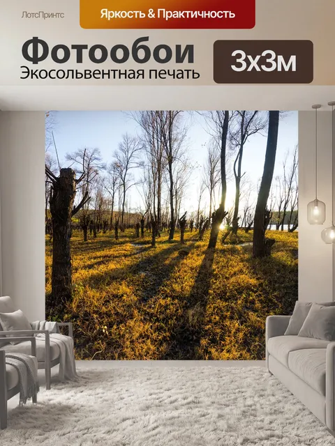 Фотообои Парковка на берегу озера в городе