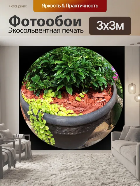 Фотообои Цветочный горшок 2