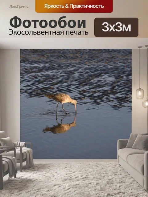 Фотообои Уиллет в воде
