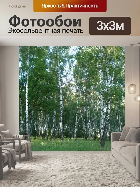Фотообои Лес