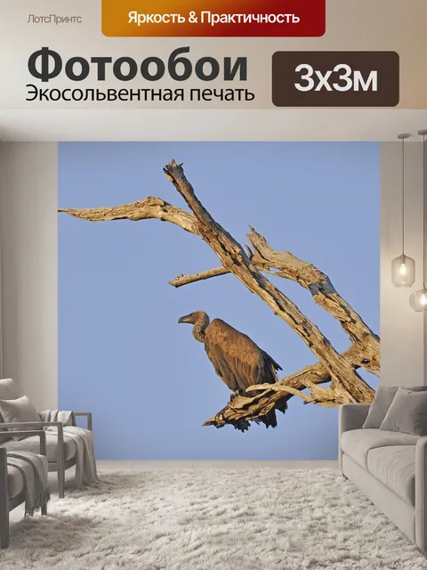 Фотообои Гриф
