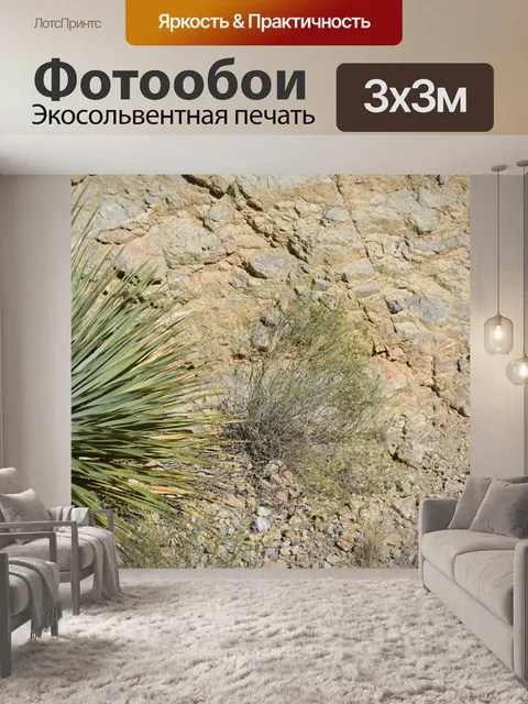 Фотообои Юкки пустыне Техасский парк Скалы