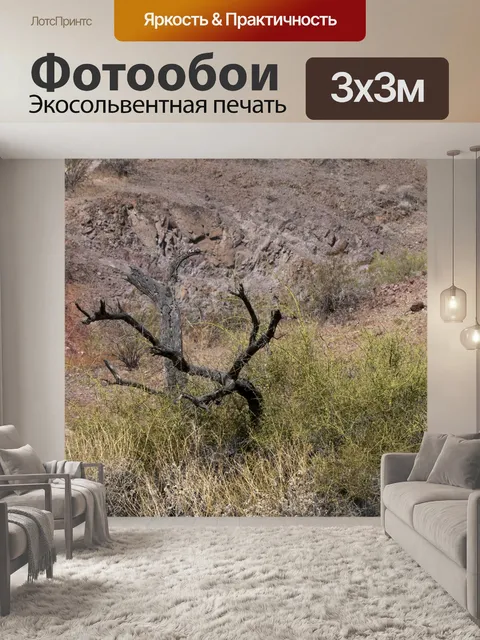 Фотообои Пейзаж пустыни