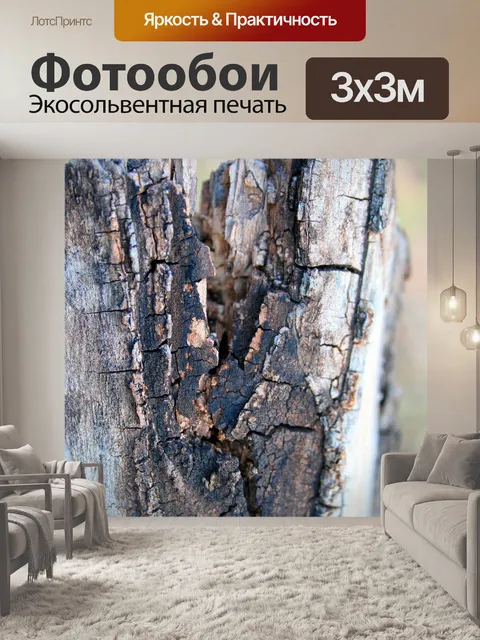 Фотообои сломанной пень