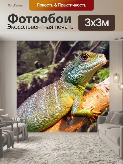 Фотообои Китайский язык