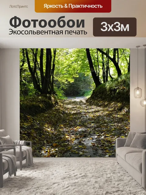 Фотообои Путь
