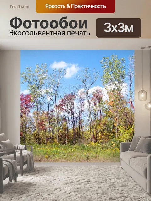 Фотообои Осенние деревья