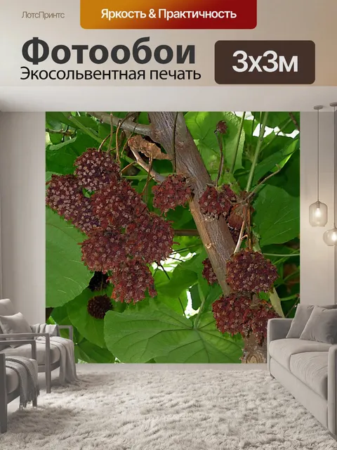 Фотообои Экзотика