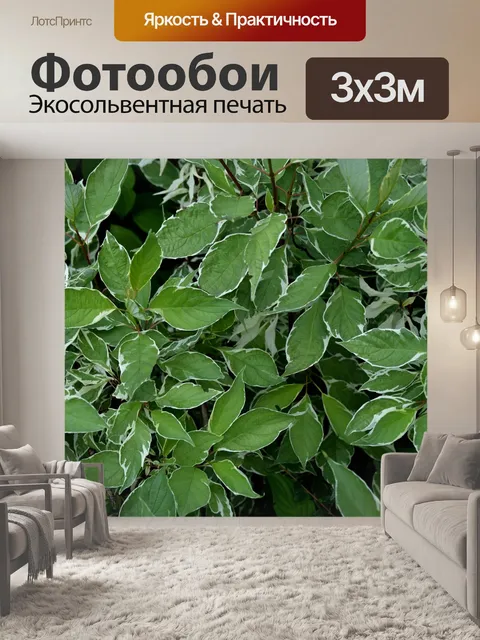 Фотообои Текстура