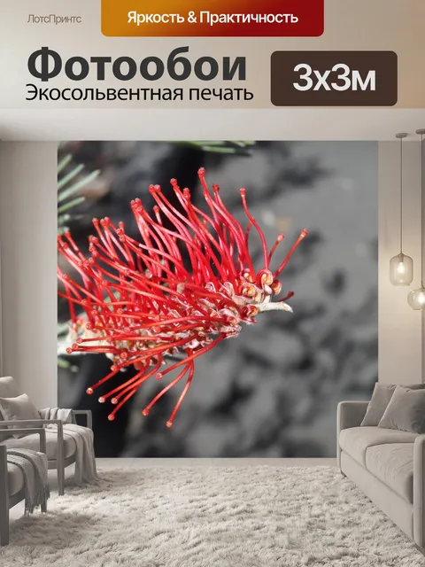 Фотообои Ершик