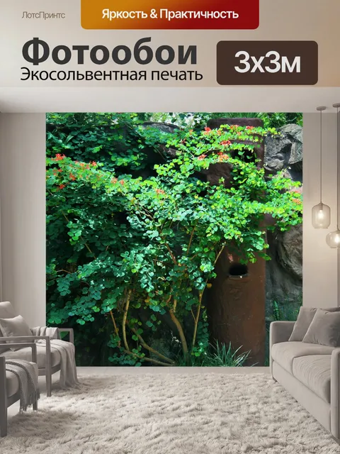 Фотообои накидка гордость охватывает птицы дом