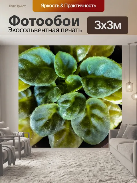 Фотообои Нечеткий зеленый завод