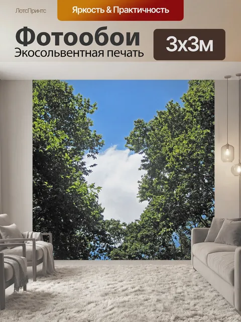 Фотообои белое облако между зелеными деревьями