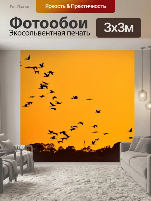 Фотообои Цапли летают над рекой