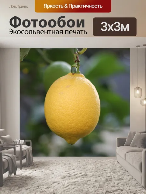 Фотообои Фрукты