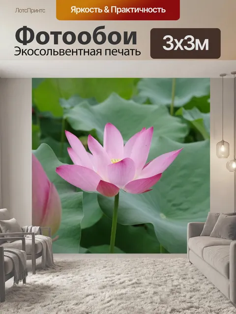 Фотообои Lotus