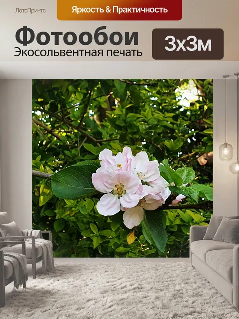 Фотообои Дерево