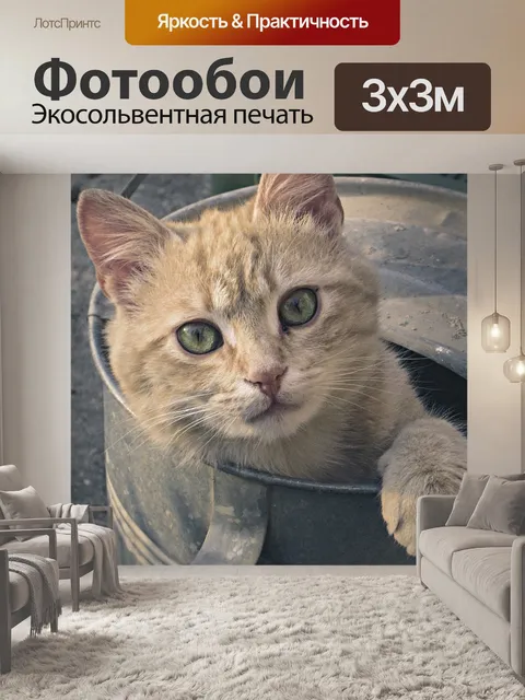 Фотообои Кошка
