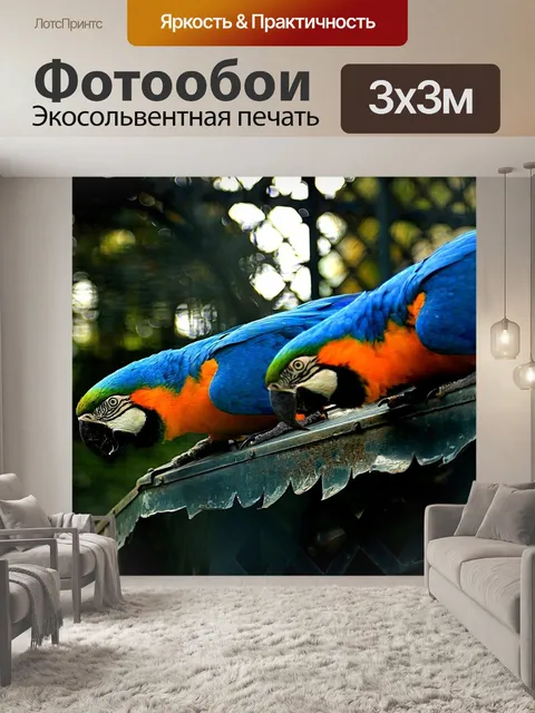 Фотообои Птиц