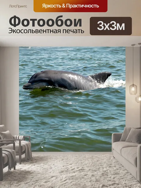 Фотообои Дельфины в диких условиях