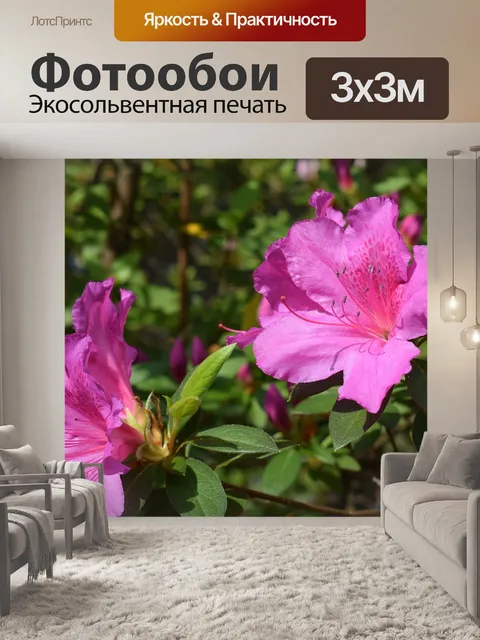 Фотообои Горячая розовая азалия