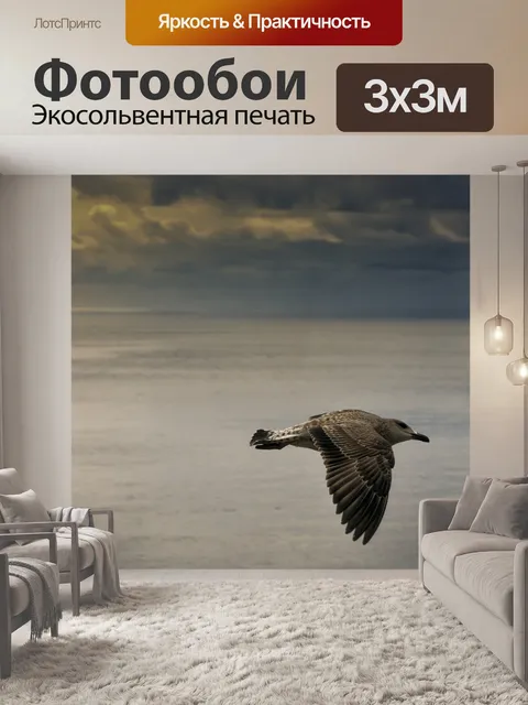 Фотообои Птица