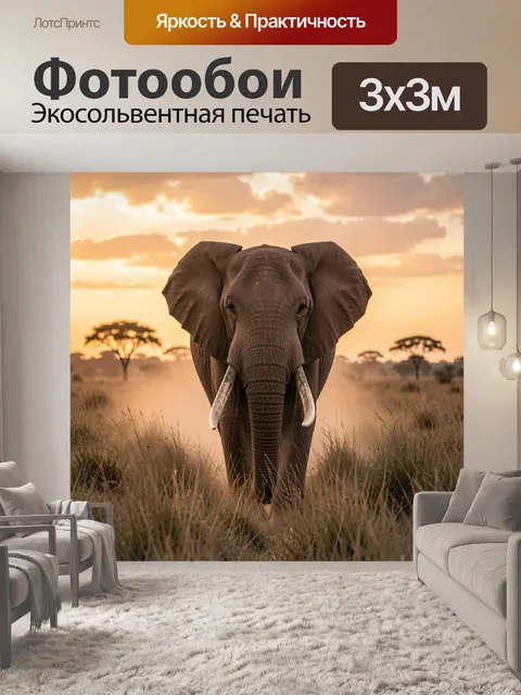 Фотообои Слон в африканской саванне