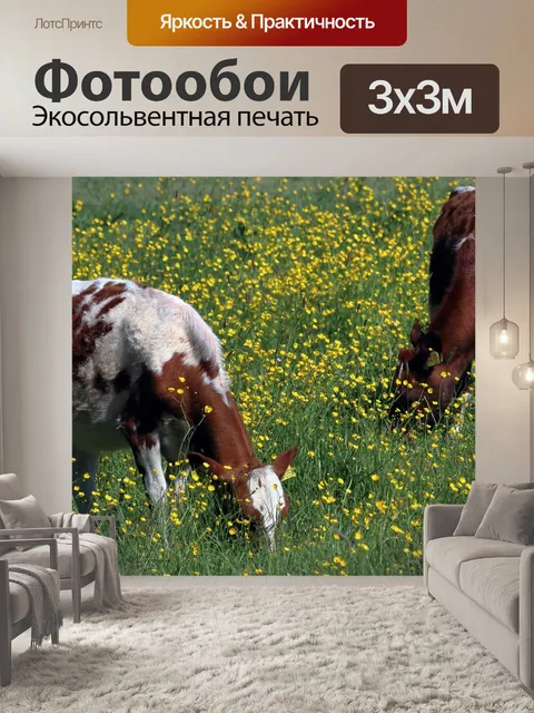 Фотообои Коровы