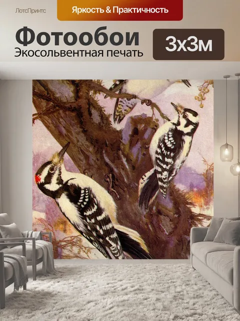 Фотообои Винтажная картина с птицами дятел
