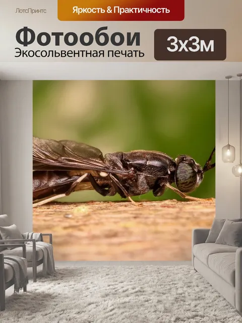 Фотообои Солдат летать