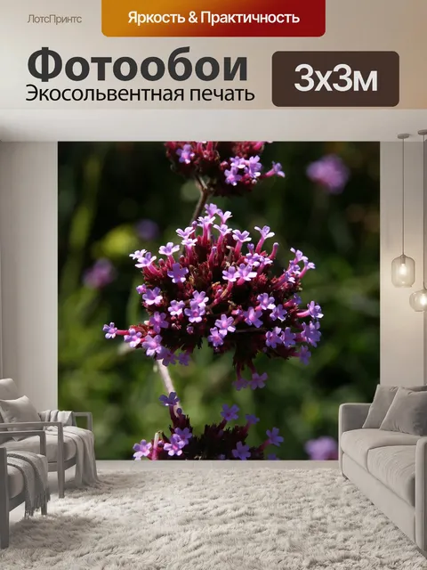 Фотообои Луговые цветы