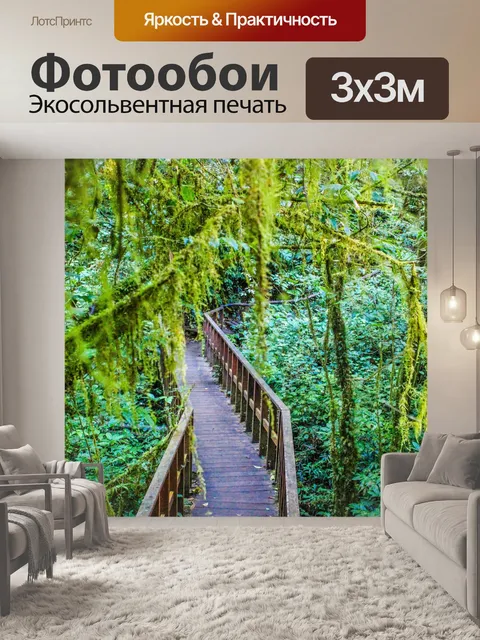 Фотообои Тропический лес в Дои Интанон, Чиангмай