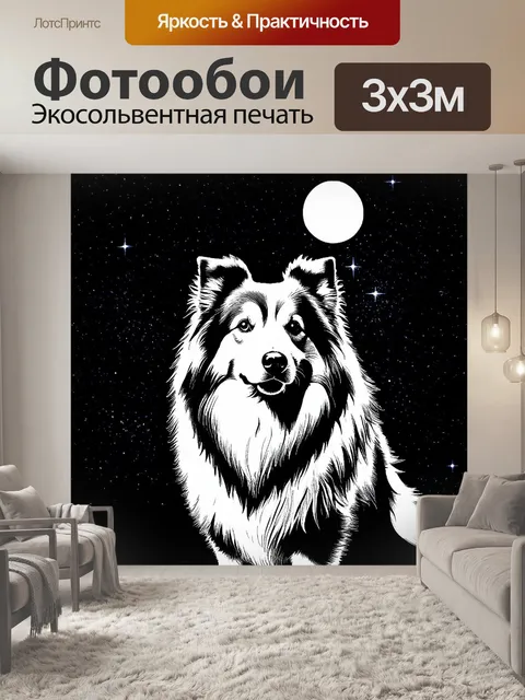 Фотообои грубая колли на фоне ночного неба с яркими звездами и полной луной; ее силуэт выделяется на