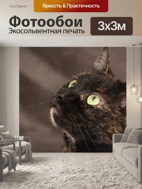 Фотообои Милый