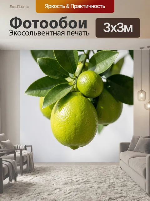 Фотообои Зеленые цитрусы на ветке