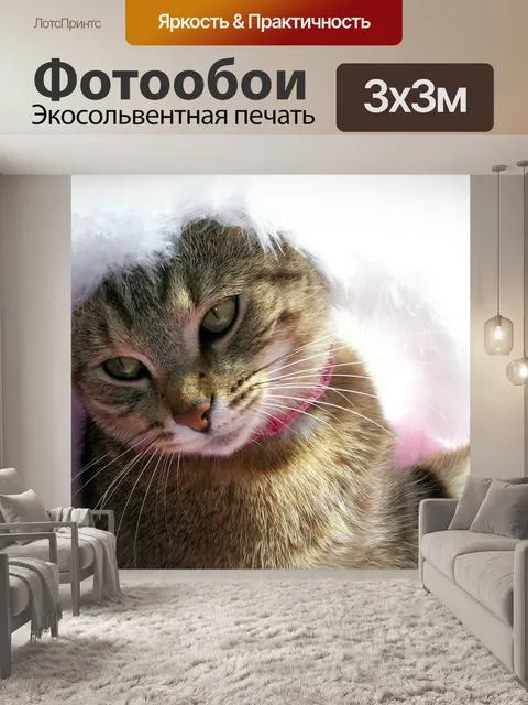 Фотообои Кот в розовом и перьях