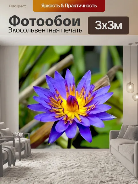 Фотообои Цветок