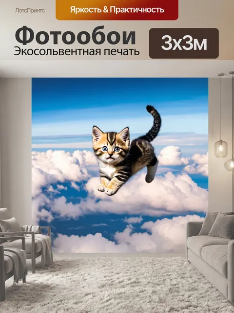 Фотообои котенок, парящий над облаками