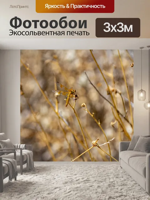 Фотообои стрекоза